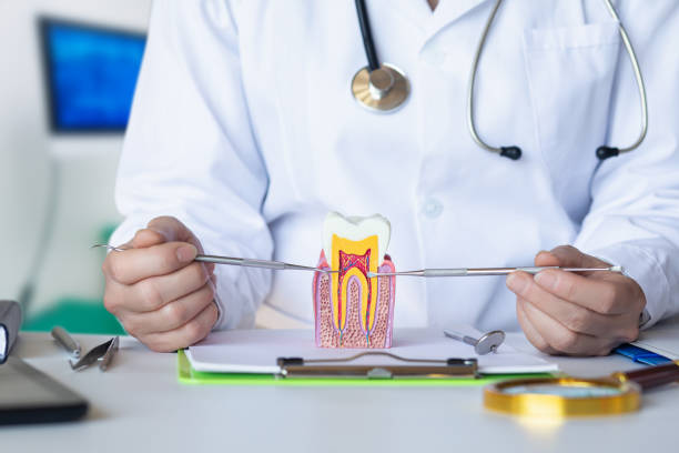 Best After-Hours Dental Trauma Care in Fairfield Bay, AR